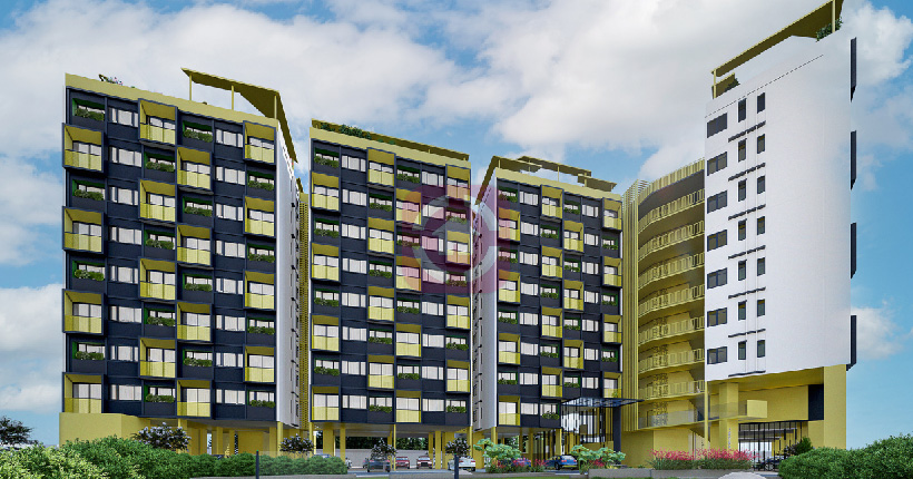 Icon Iconest VII Cover Image 